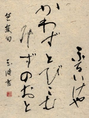 bibliotecas de Pamplona